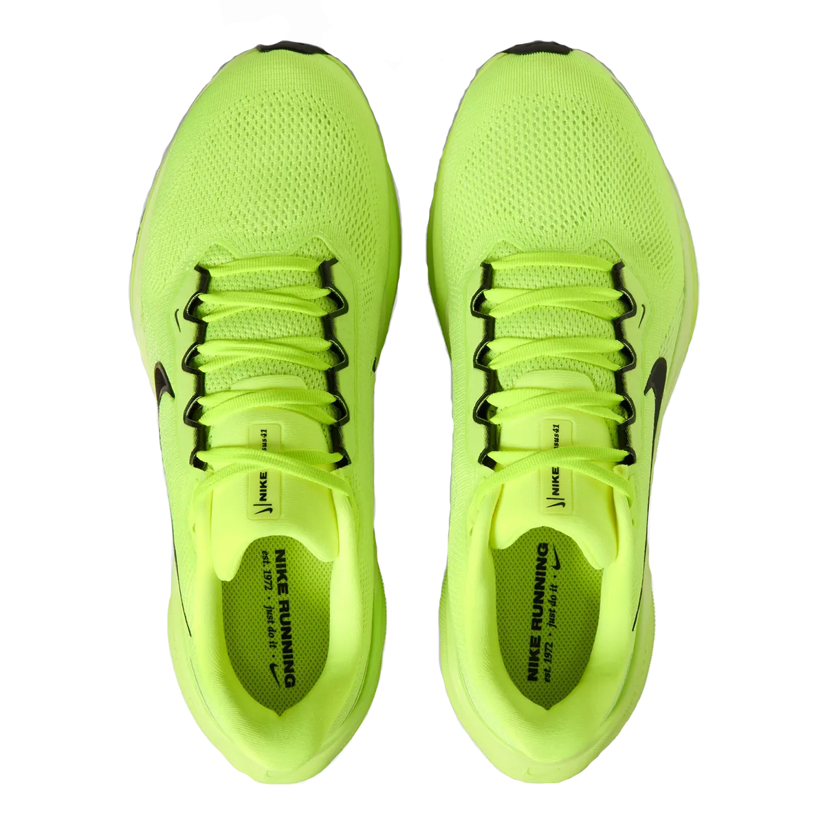 Nike Air Zoom Pegasus 41