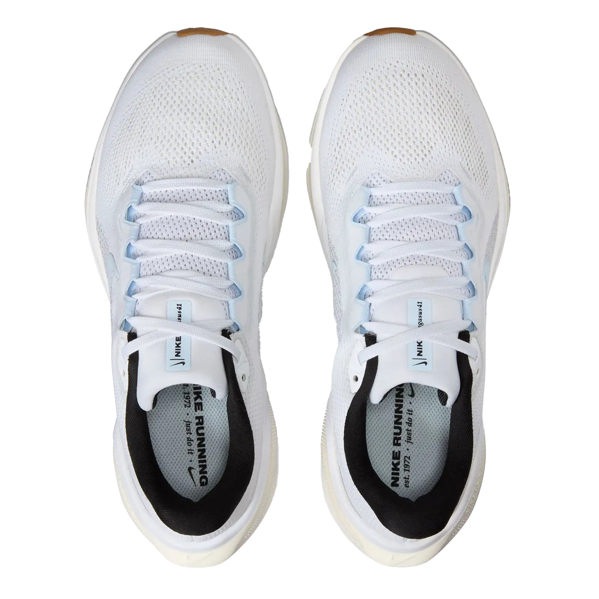 Nike Air Zoom Pegasus 41