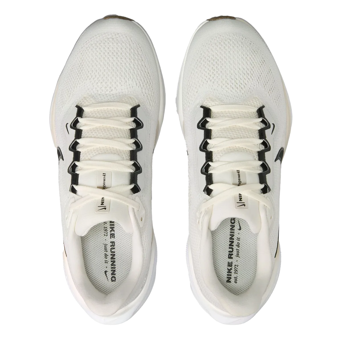 Nike Air Zoom Pegasus 41