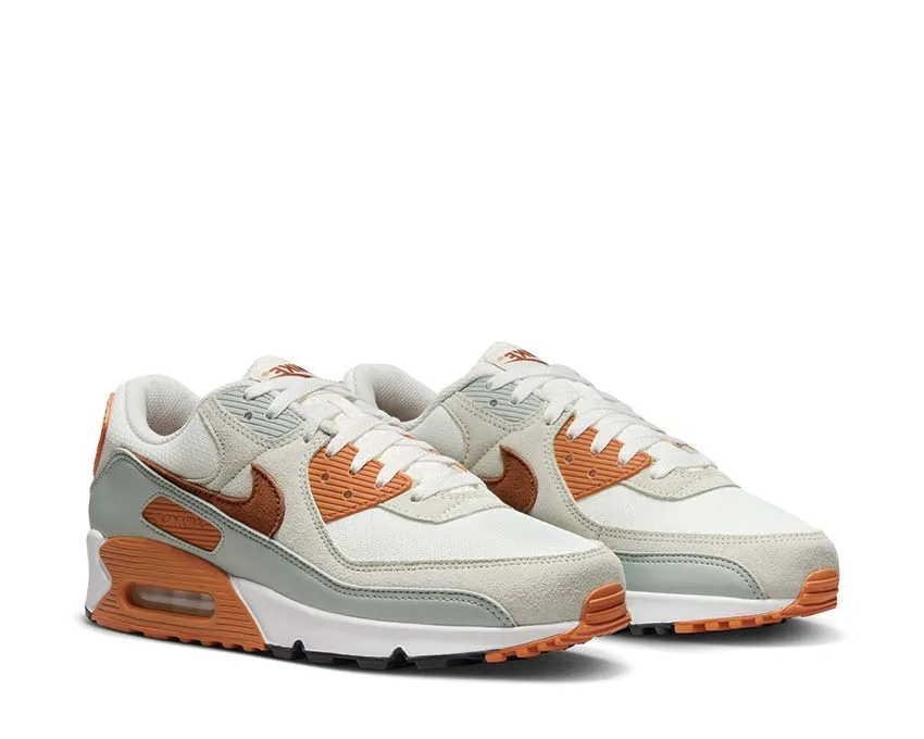 Nike Shoes Nike Air Max 90