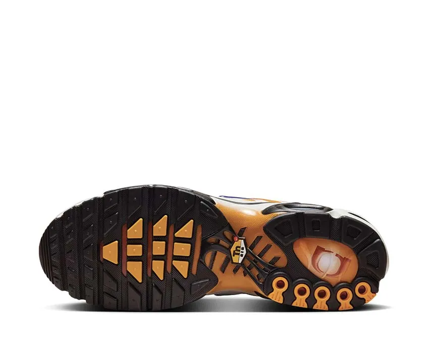 Nike Shoes Nike Air Max Plus One Black Down "Reverse"