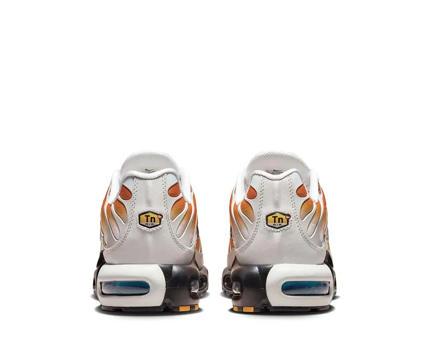 Nike Shoes Nike Air Max Plus One Black Down "Reverse"