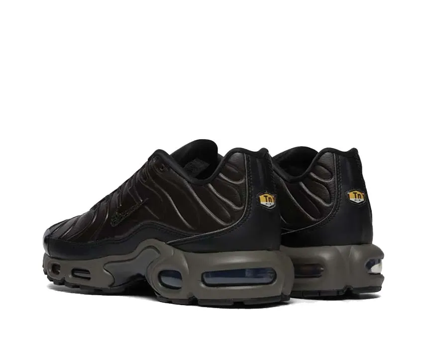 Nike Shoes Nike Air Max Plus PRM QS "Paris"