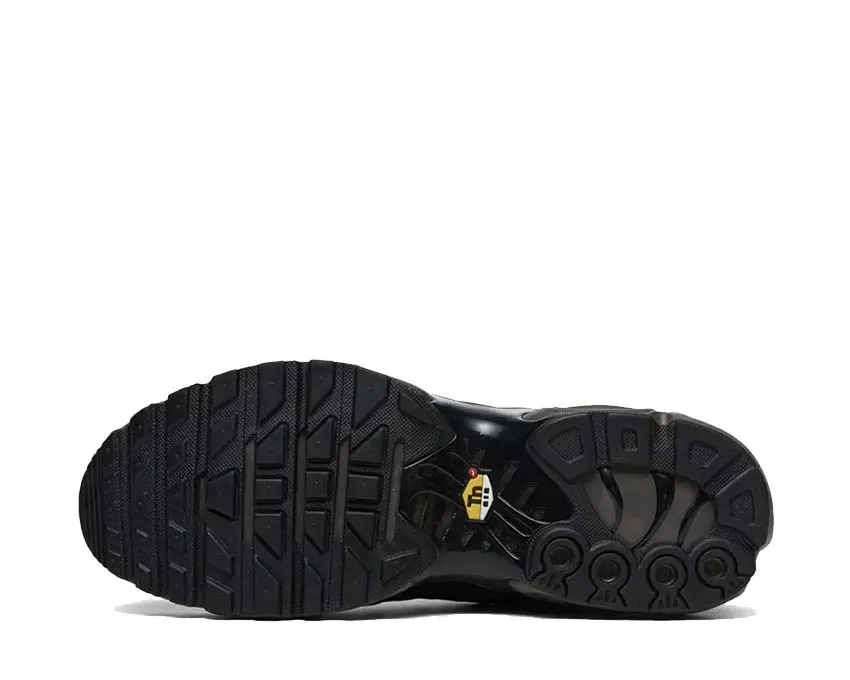 Nike Shoes Nike Air Max Plus PRM QS "Paris"