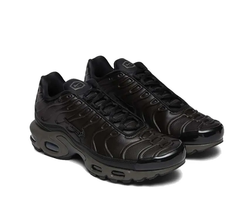 Nike Shoes Nike Air Max Plus PRM QS "Paris"