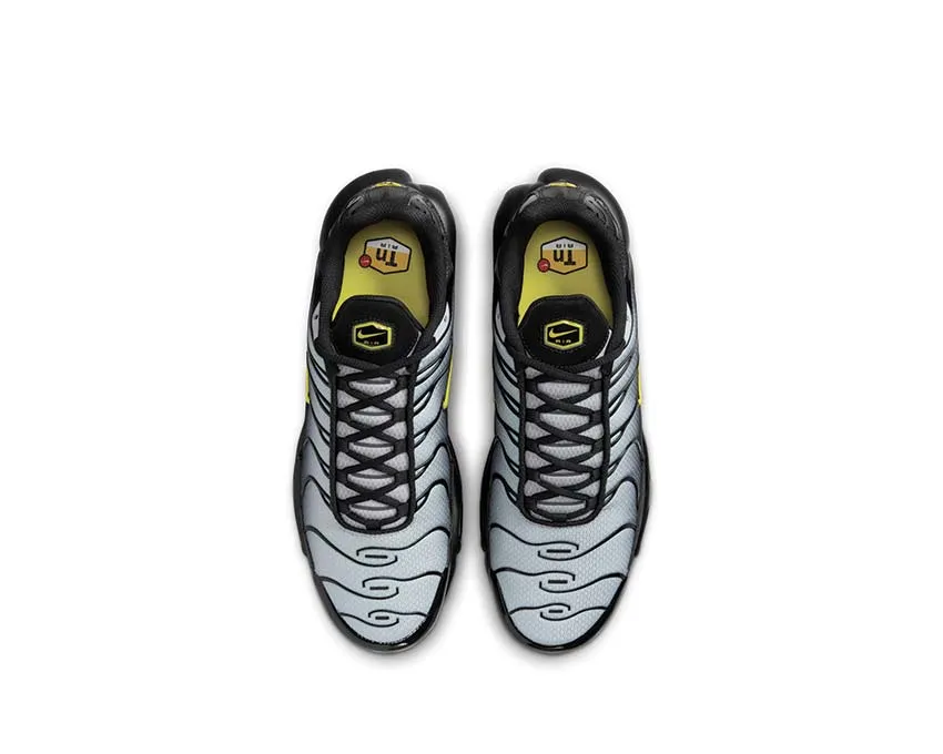 Nike Shoes Nike Air Max Plus "Wolf Grey"