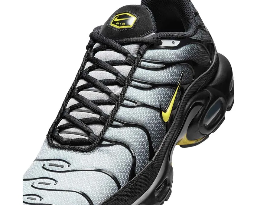Nike Shoes Nike Air Max Plus "Wolf Grey"