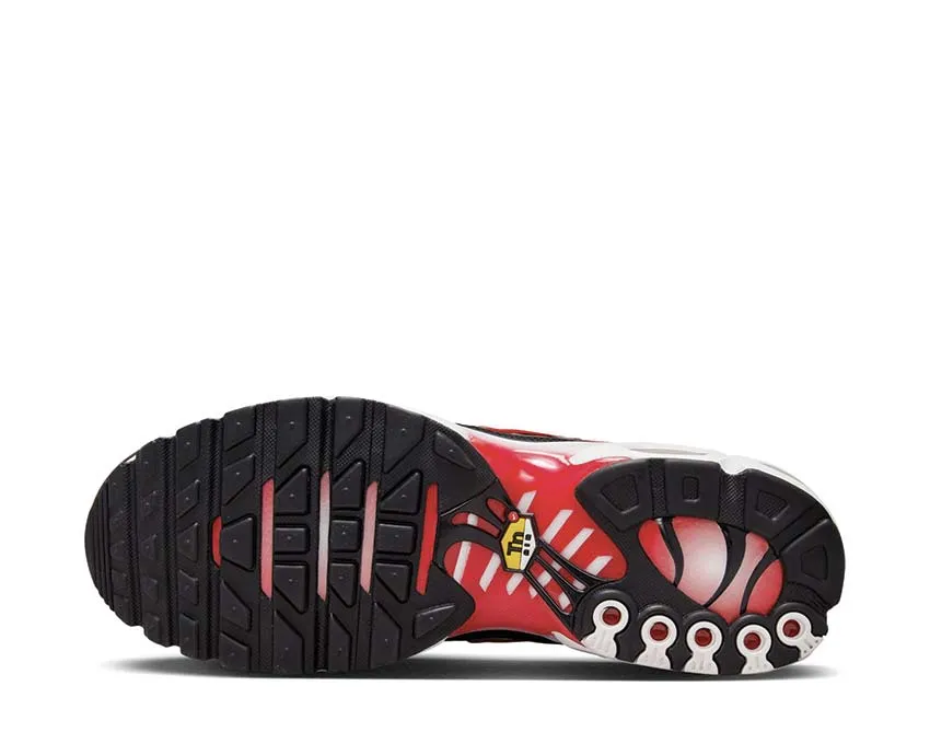 Nike Shoes Nike Air Max Plus