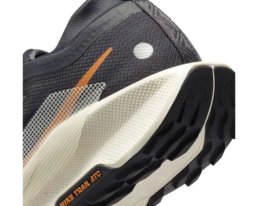 Nike Shoes Nike Pegasus Trail 5 GTX