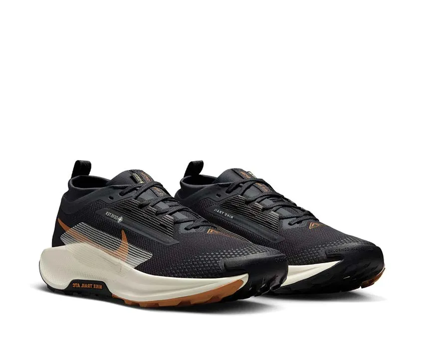 Nike Shoes Nike Pegasus Trail 5 GTX